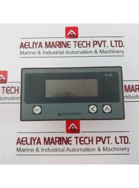 原装供应MULTISPAN PI 31/控制器 230VAC