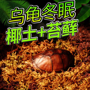 乌龟冬眠用品爬宠椰土椰砖套装过冬屋沙子土苔藓箱盒巴西龟的小窝