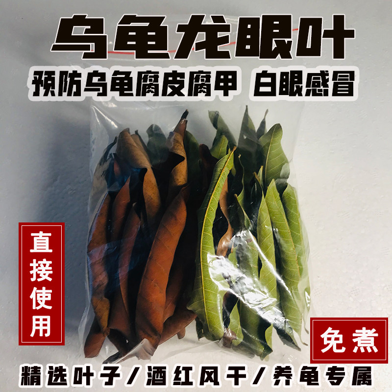 龙眼叶养龟预防原生态改善水质