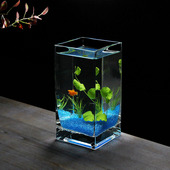 奇艺家居方形加厚超白玻璃鱼缸桌面装 饰花瓶斗鱼缸带盖子水培花器