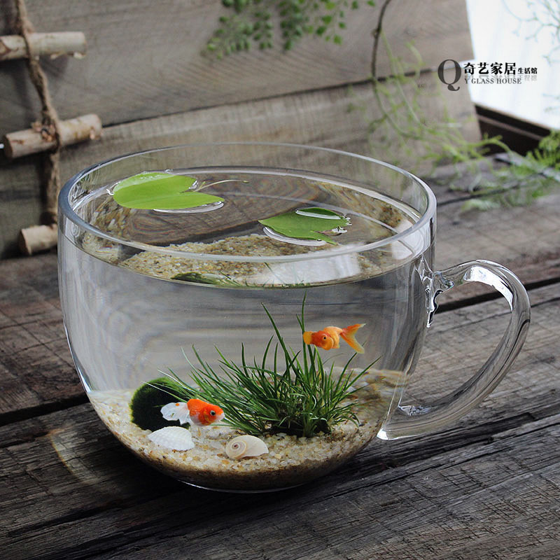 奇艺创意大碗小型金鱼缸桌面