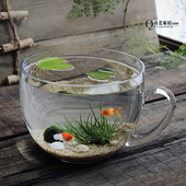 奇艺创意大碗鱼缸加厚玻璃金鱼缸小型热带鱼缸办公桌面鱼缸家用