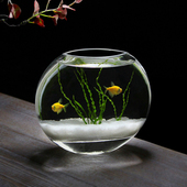 迷你扁口鱼缸无铅水晶玻璃桌面插花瓶家居装 饰花器热带鱼缸斗鱼缸