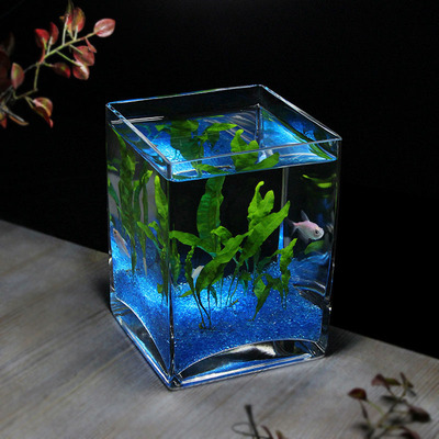 一次成型视野清晰无铅水晶玻璃