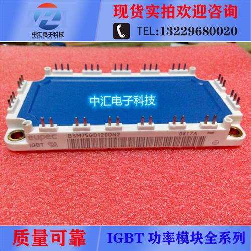 BSM50GD120DN2 BSM75GD120DN2 BSM100GD120DN2 BSM100GD60DLC