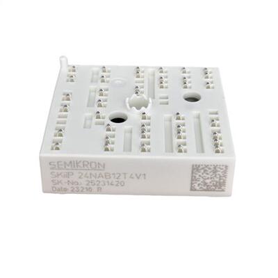 SKIIP24NAB12T4V1 SKIIP24NAB126V1 SKIIP21NEB063T1