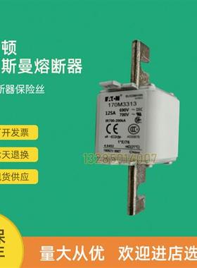 全新快速熔断器保险170M3565 170M3566 170M3567 170M3568