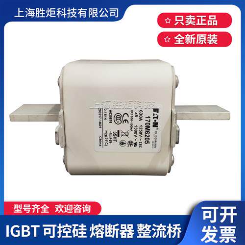 原装170M6203 6204 6205 6206 6207 6208 6209 6202 6201