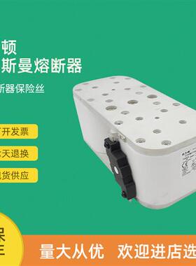全新快速熔断器保险170M7119 170M7120 170M7121 170M7122