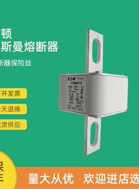 全新快速熔断器保险170M6215 170M6216 170M6217 170M6218