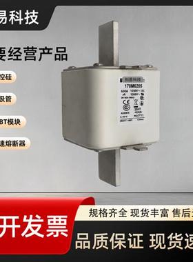 170M6213 170M6214 170M6215 170M6216 170M6217伊顿BUSSMANN现货