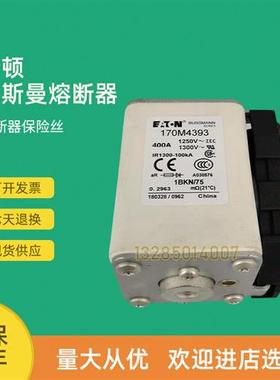 全新快速熔断器保险170M4315 170M4316 170M4317 170M4318