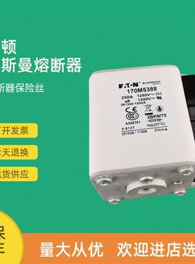 全新快速熔断器保险170M5389 170M5390 170M5391 170M5392