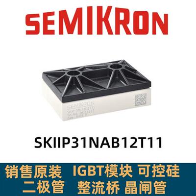 原装SKIIP32NAB12T1 SKIIP31NAB12T49 SKIIP31NAB12T11 30NAB12T1