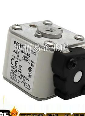 170M4908/170M3169/170M3975/170M3190原装全新熔断器 询价