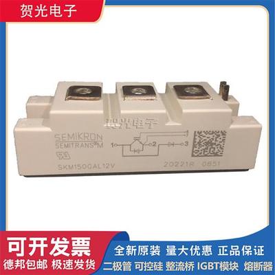 SKM150GAL12T4/150GAL12V/150GAR12V/150GB12VG IGBT模块