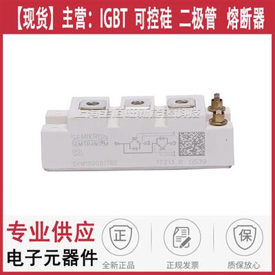 原装西门康模块SKM100GB176D SKM75GAL063D SKM195GAL07E3现货秒