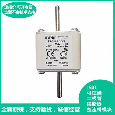 巴斯曼 170M4018 快速熔断器 极速发货 现货可直拍