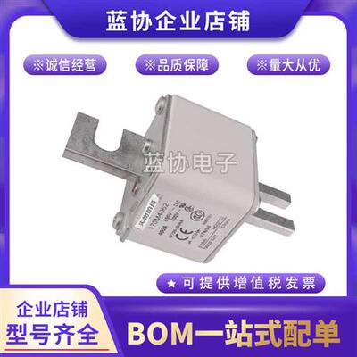 进口保险丝170M3951 170M3952 170M3953 170M3954 170M3955