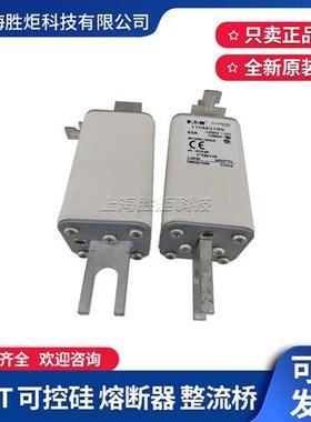170M3173 3188 3189 3190 3191 3192 31熔断器170M4415 690V 550A