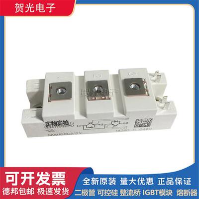 全新 SKM100GB12V /SKM100GB176D /SKM100GD063DL 西门康IGBT模块