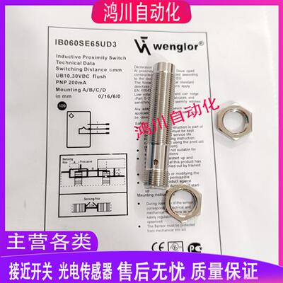 威格勒电感式接近开关IB040DE65UD3 IB060SE65UD3 全金属