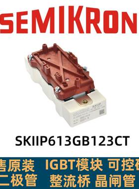 SKIIP613GB123CT SKIIP603GB123CT SKIIP513GB173CT 513GB172CT