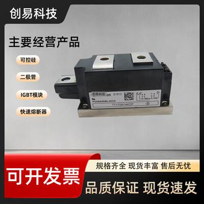 TT170N08KOF/12KOF TT170N14KOF TT170N16KOF全新可控硅模