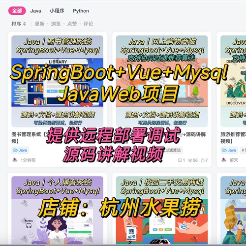 Springboot vue 前后端分离 Java  Web网站开发定制 成品项目进店