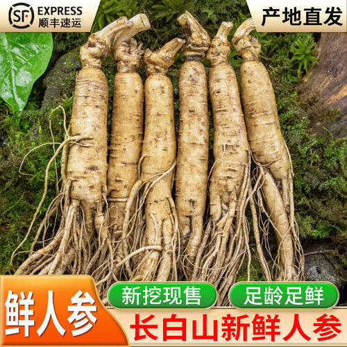 长白山新鲜人参产地直发顺丰包邮