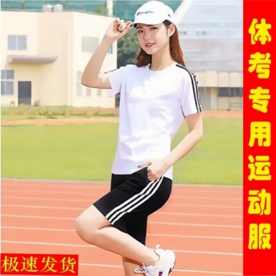 中考体育专用纯棉运动服套装男女