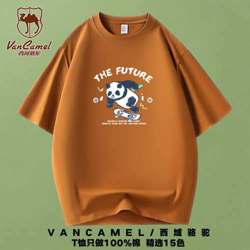 大码纯棉短袖t恤衫男士宽松休闲