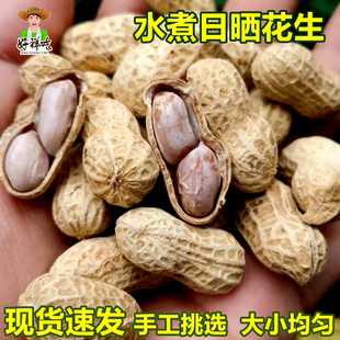 25年新货5斤水煮白晒花生咸干水煮晒干日晒带壳多味花非龙岩花生