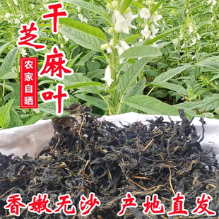 10斤批发25年新鲜芝麻叶干菜500g河南土特产脱水嫩叶糊涂面豆面条