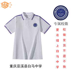 重庆巫溪白马中学校服男女同款灰色夏衣初中生POLO衫上衣