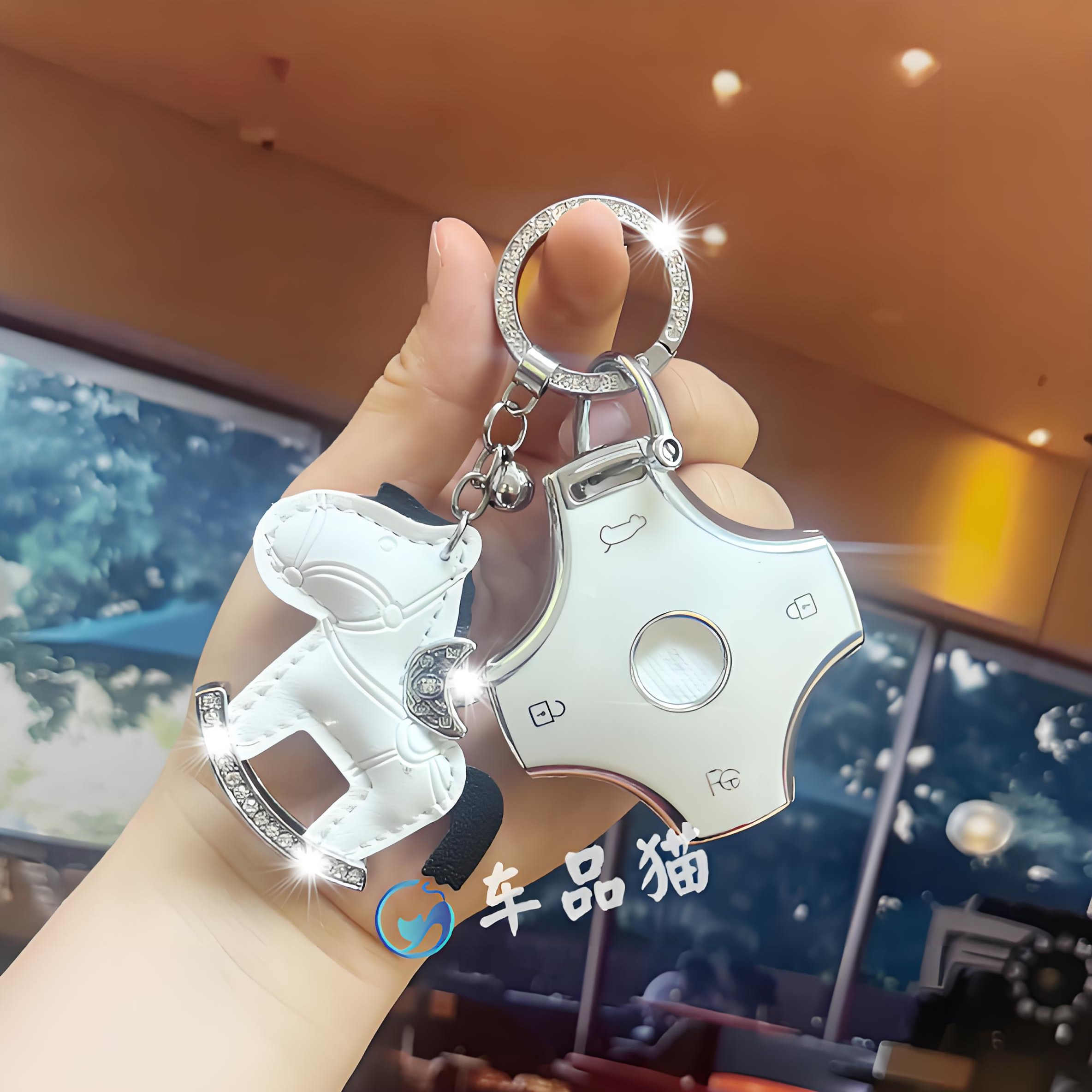 【新款】奕派007钥匙套