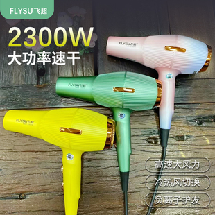 飞超9900大功率电吹风机发廊理发店专业冷热风彩色吹风筒负离家用