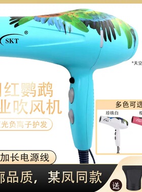 SKT鹦鹉同款吹风机发型师专用理发店发廊家用速干负离子护发风筒