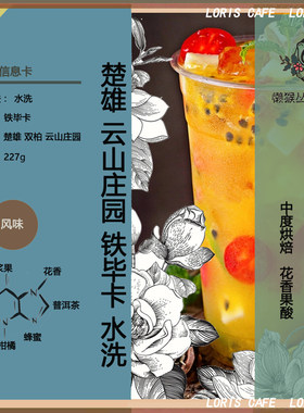 楚雄双柏云山庄园 水洗铁毕卡 咖啡豆 铁皮卡 懒猴云南小粒挂耳