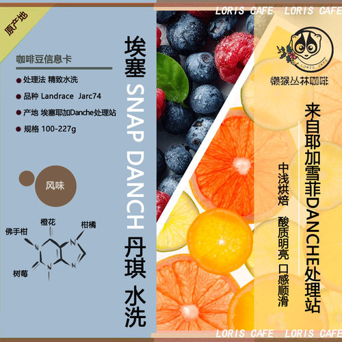 耶加Snap丹琪精致水洗咖啡