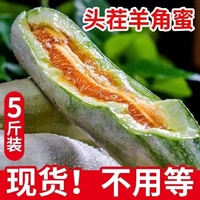 潘集酥瓜戴樓酥瓜羊角蜜甜瓜