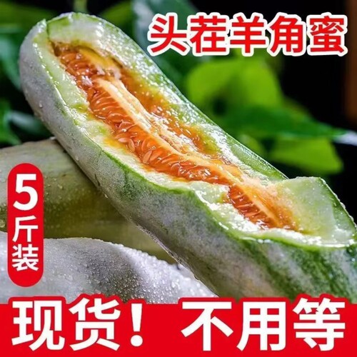 潘集酥瓜戴楼酥瓜羊角蜜甜瓜