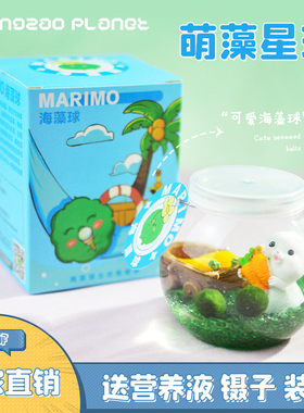 『萌藻星球』marimo海藻球微景观生态瓶办公室水培植物绿球藻礼物