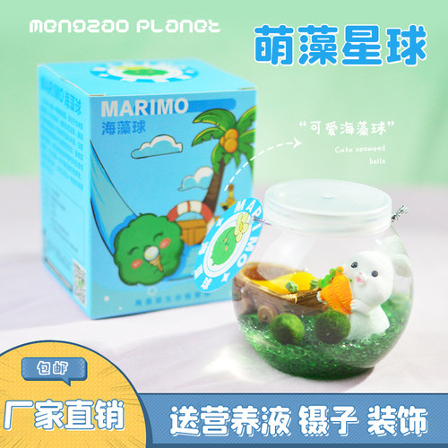 2024新年礼物幸运藻球龙年行好运