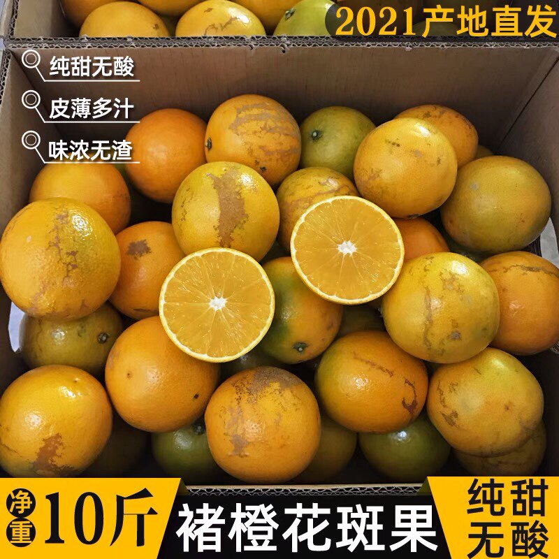 云南褚橙花斑果实建褚橙纯甜新鲜孕妇水果无渣高原王子玉溪冰糖橙