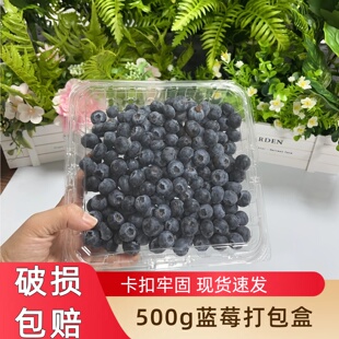 一次性蓝莓包装 透明塑料厚食品级树莓打包盒蓝莓盒 盒500g克1斤装