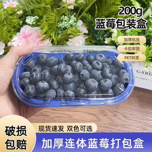 200g一次性加厚蓝底蓝莓包装盒