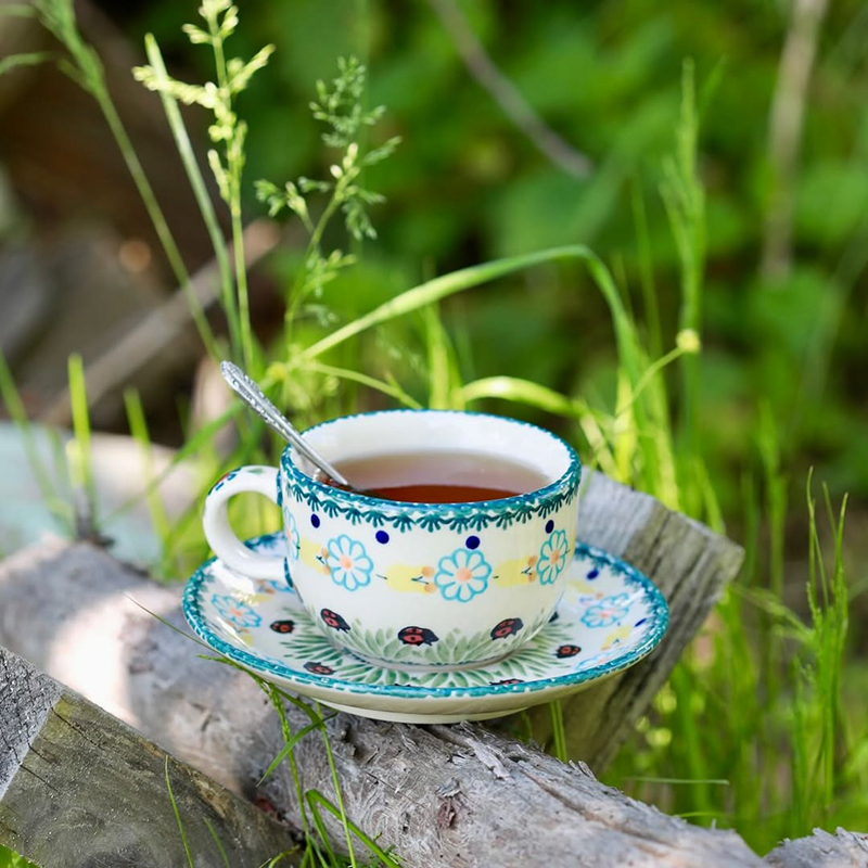 咖啡杯泡茶壶波兰进口手绘陶瓷