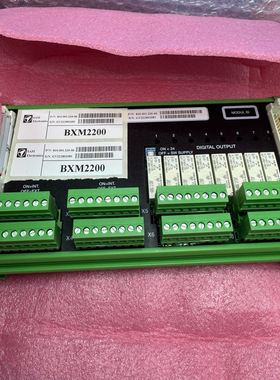 SAM BXM2200数字I/O模块，型号810.001.2
