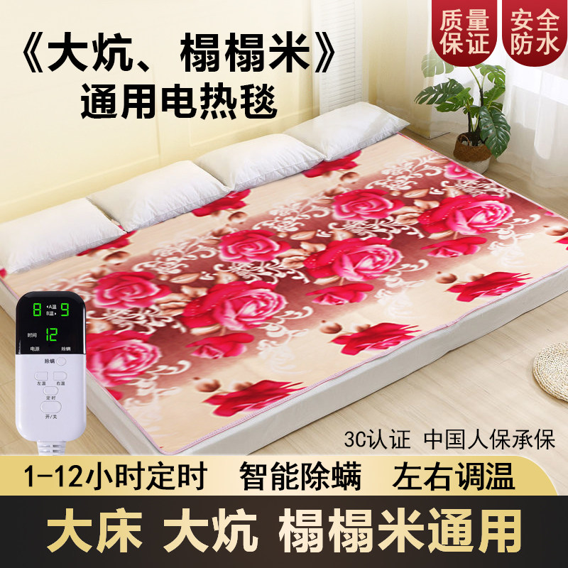 大炕榻榻米通用电热毯双人双控超大电褥子家用安全防水除潮除螨3m